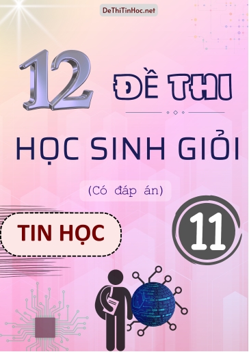 Bộ 12 Đề thi Học sinh giỏi Tin học Lớp 11 (Có đáp án)